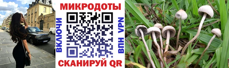 Псилоцибиновые грибы Psilocybine cubensis  площадка какой сайт  Лахденпохья  kraken как войти 